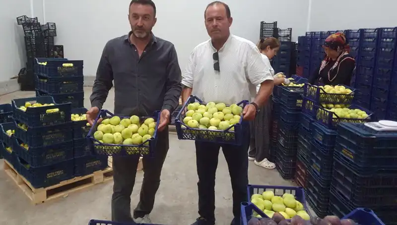 Mersinli Çiftçilerin Yüzünü Güldüren 20 TL’lik İhraç Fırsatı
