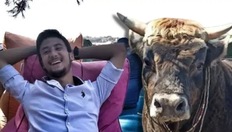 Aydın'da Büyükanne ve Torununun Hayatını Alan Güreş Boğası Faciası