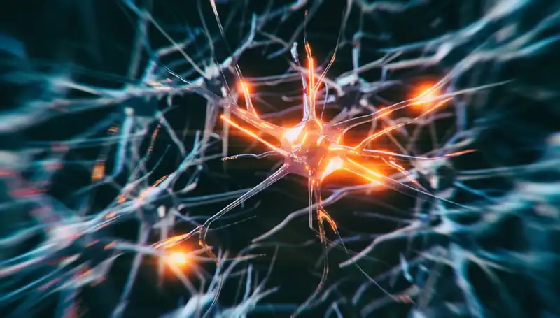 Alzheimer Vakalarındaki Şok Artışın Arkasındaki Nedenler Neler?