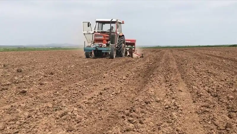 Son 35 Yılın En Kurak Mart Ayı: Yağış Oranı Yüzde 59 Düştü!