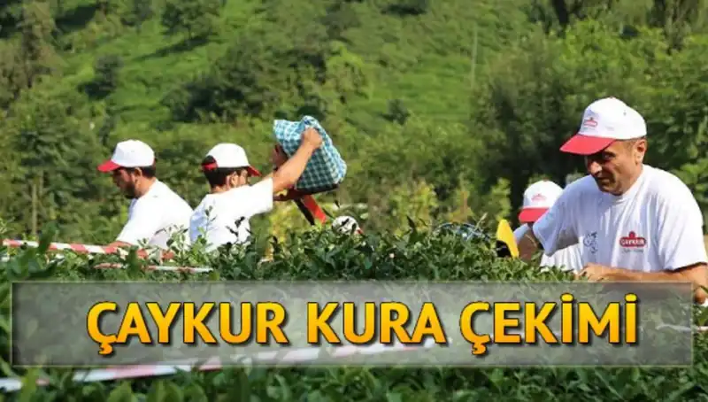 Çaykur Canlı Kura Sonuçları: İsim Listesine Hızla Ulaşmanın Yolları