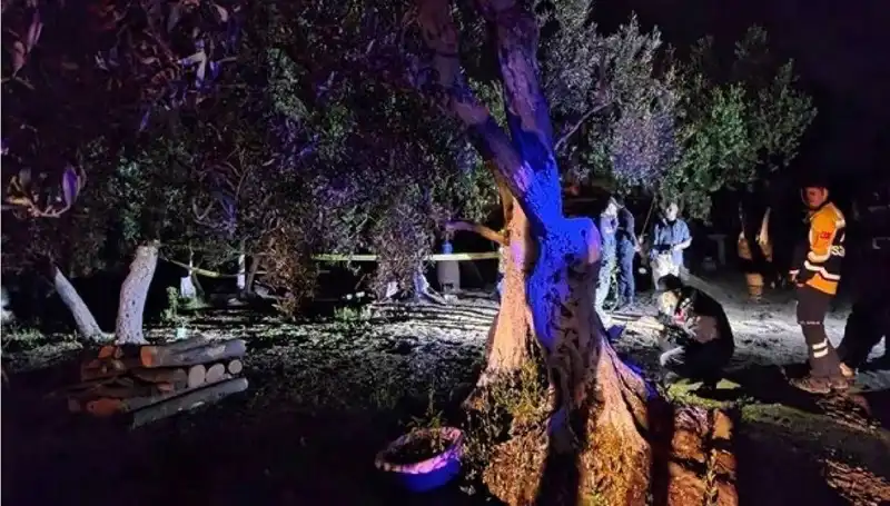 Çiftlikteki Baltalı Vahşet Olayında Şok Gelişme: Bir Tutuklama Gerçekleşti!