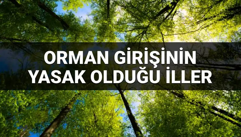 2025 Yılında Ormana Girmek Yasak Olan İllerin Listesi Açıklandı