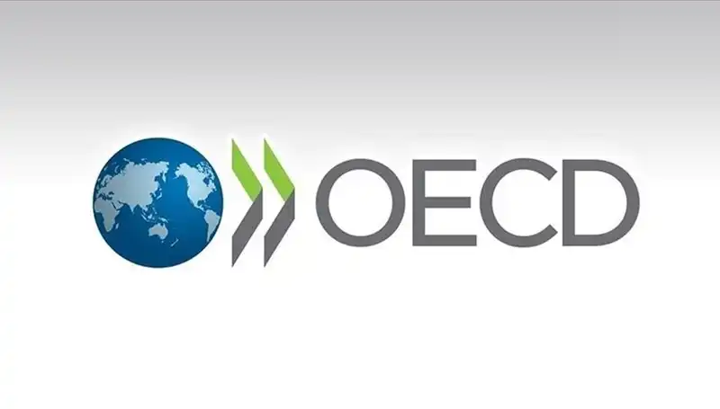 OECD, Türkiye’nin Ekonomik Büyüme Tahminini Yeniden Değerlendirdi