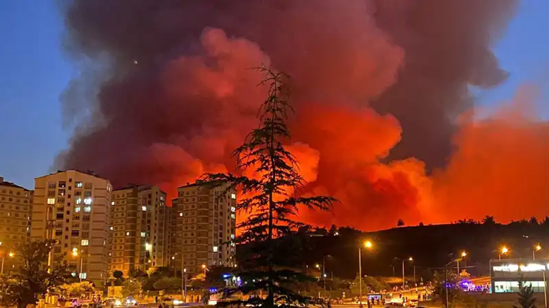 Bursa'da Korkutan Yangınlar: Şehir ve Doğa Tehdit Altında!