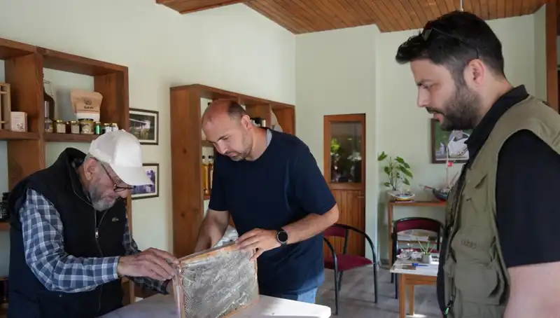 Hem Şifa Hem de Tehlike: Doktor Tavsiyesiyle Tüketilmesi Gereken Doğal Ürün