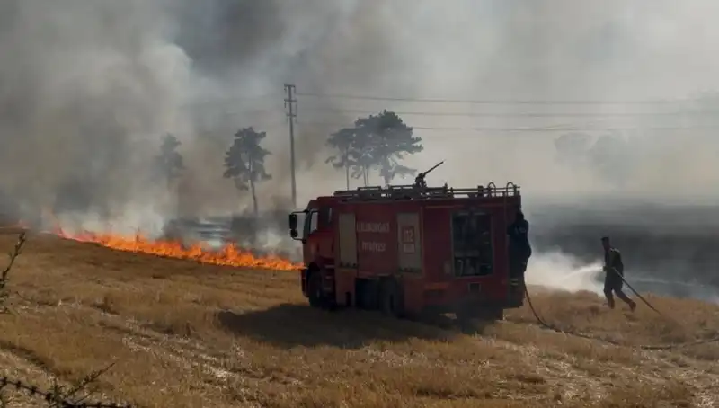 Kırklareli'nde Korkutan Anız Yangını: Tarım Arazileri Tehlikede