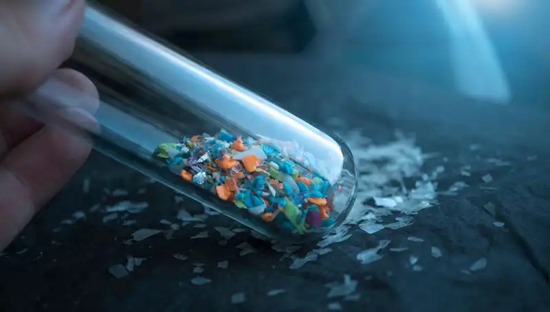 Mikroplastiklerin İnsan Beynine Sızması: Etkileri ve Alarming Sonuçları