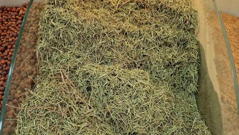 Yaz Aylarında Artan Tehlikeli Ürün Satışı: Ölüme Götüren İhlaller