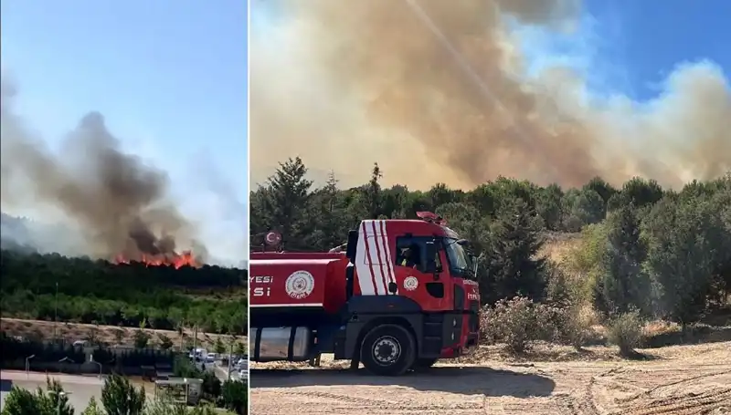 Gebze’deki Orman Yangını: Doğa Koruma Savaşı Başladı!