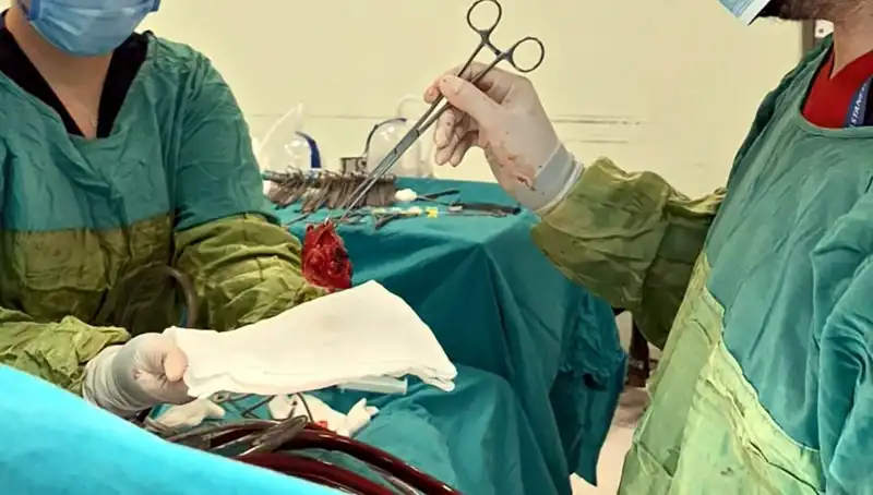 Kalp Kapağındaki Çürük Sorunu: 7 Saatlik Ameliyatla Hayata Döndü