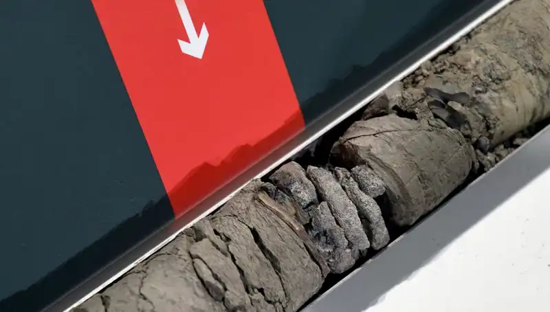 Müze Otoparkında Tarihi Keşif: Dinozor Fosili Bulundu